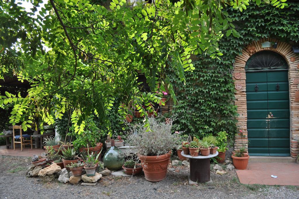 فيلا Agriturismo La Leccia بيبونا المظهر الخارجي الصورة