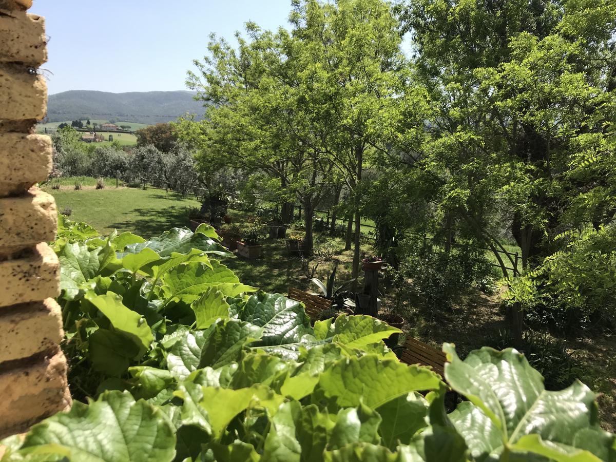 فيلا Agriturismo La Leccia بيبونا المظهر الخارجي الصورة